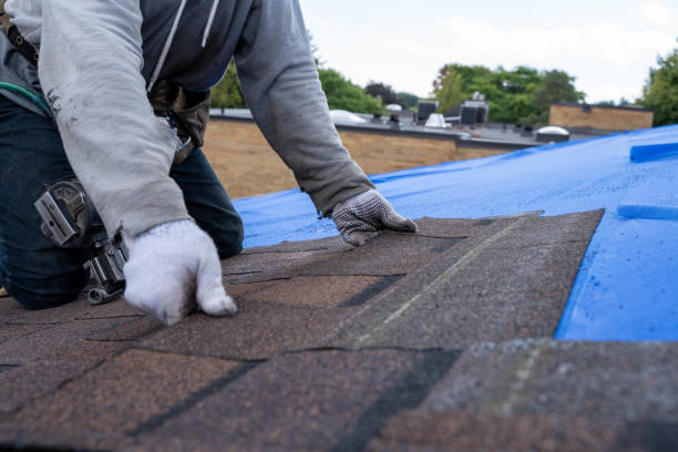 Best Commercial Roof Installation  in Willow Oak, FL