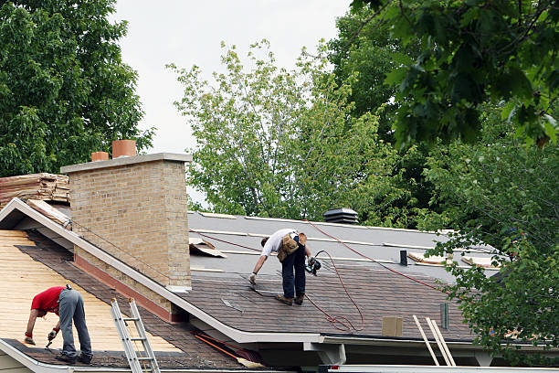Best Shingle Roofing Installation  in Willow Oak, FL