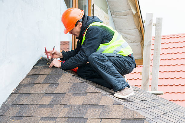 Best Local Roofing Companies  in Willow Oak, FL