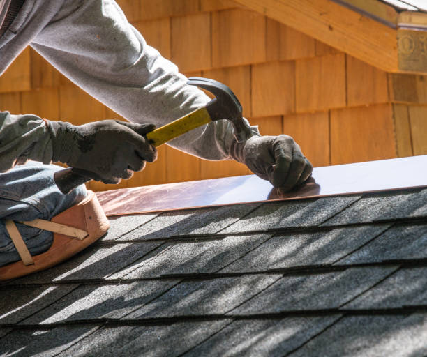 Best Roof Gutter Cleaning  in Willow Oak, FL